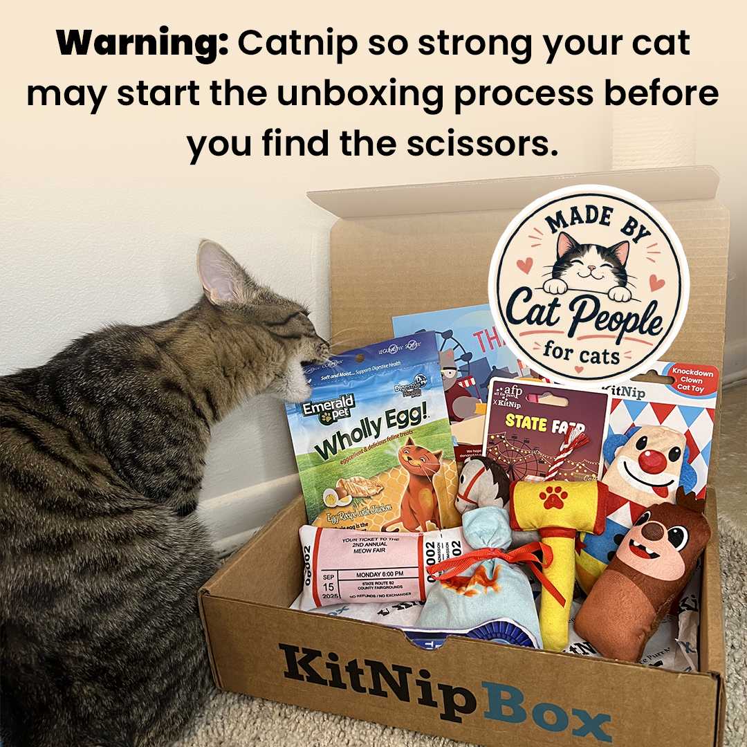 KitNipBox unboxing